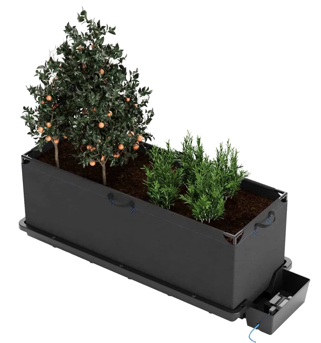 Tray2Grow Living Soil Kit - Image 2