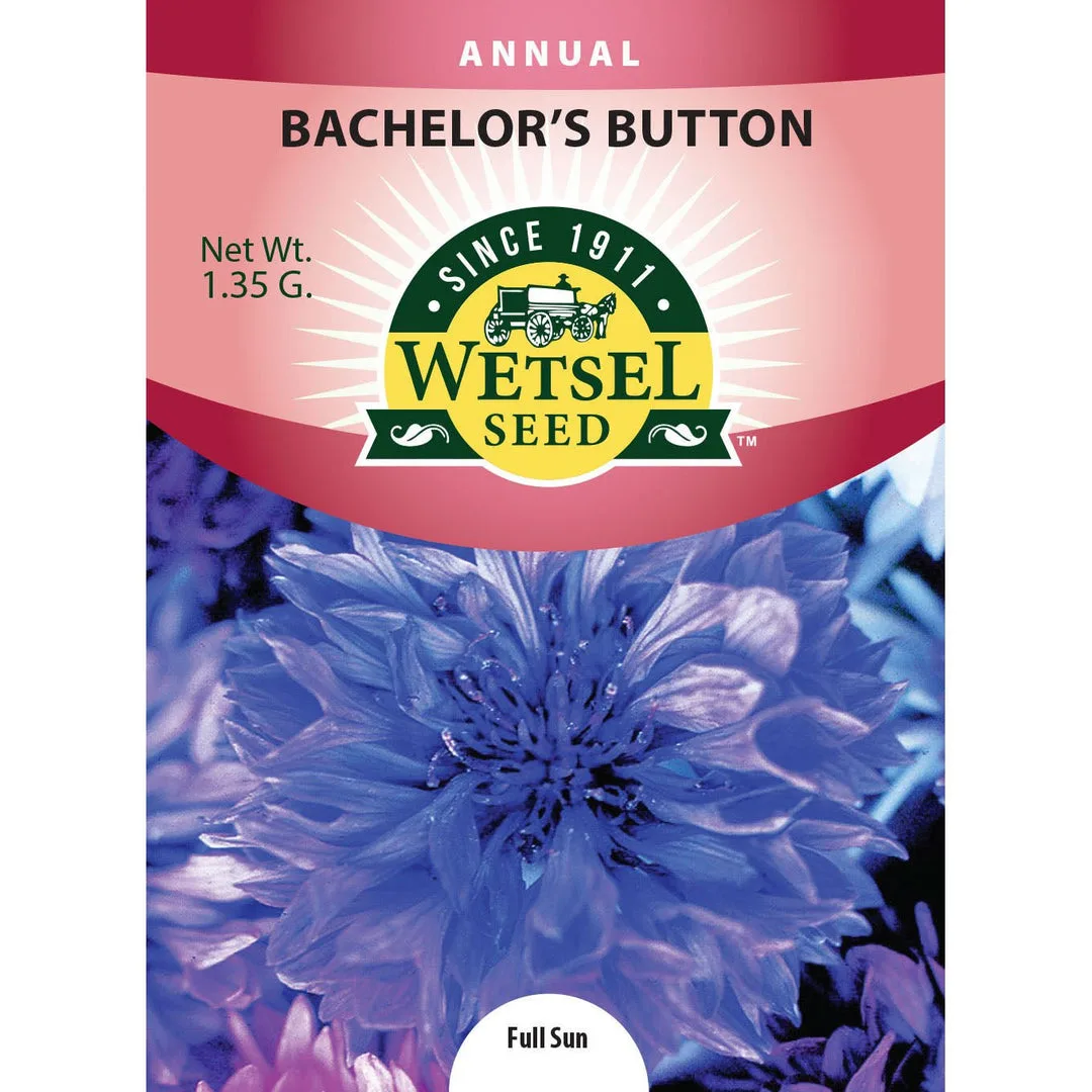 Bachelor's Button 1.35 Grams - Image 2