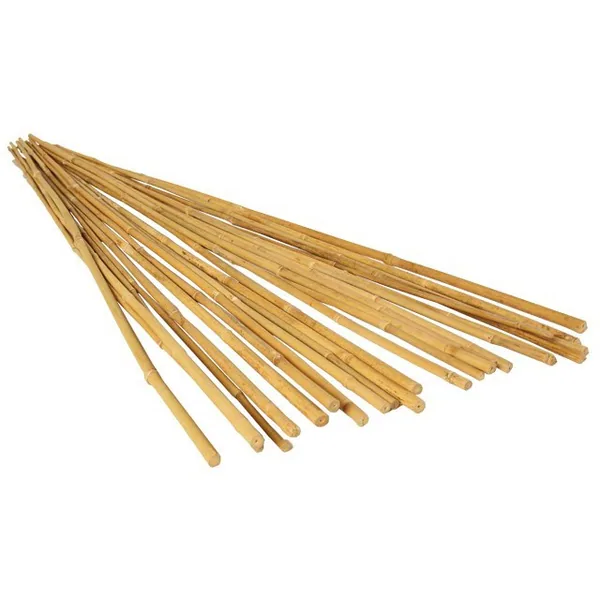 Bamboo Supply 8' Natural Bamboo Stake, 24-26mm (Bundle of 50)