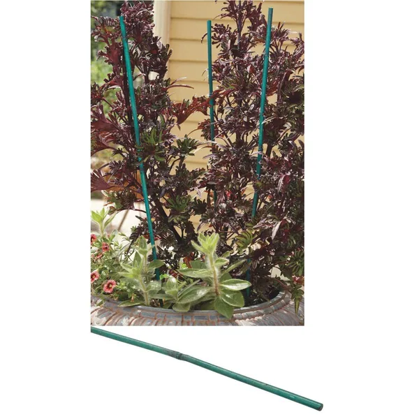 Bamboo Supply 12" Split-Pointed Bamboo Stakes, Green, 4-4.5mm (Case of 5000)