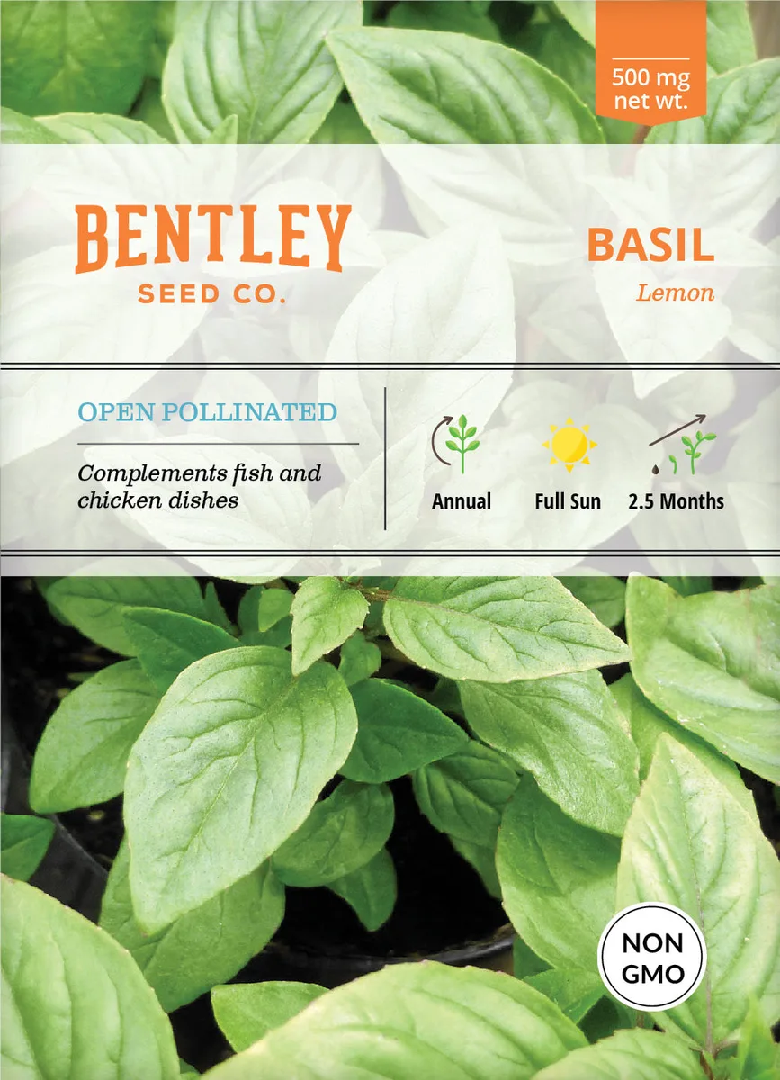 Basil, Lemon 800mg - Image 2