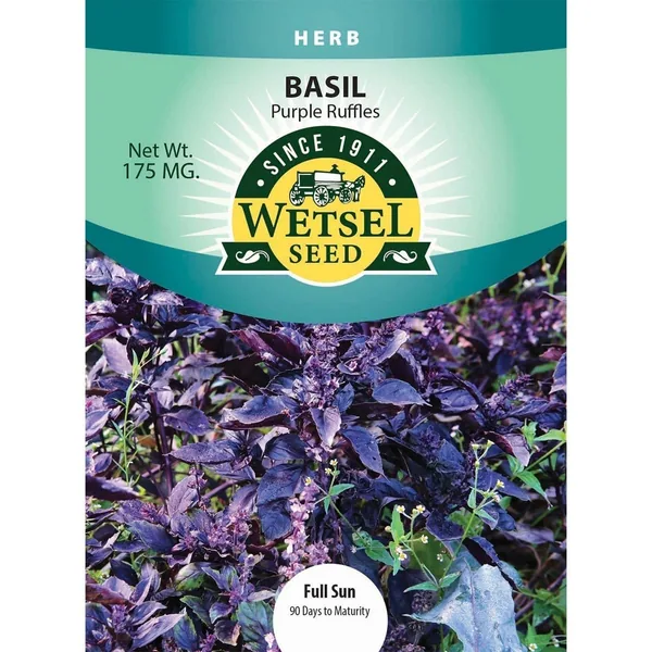 Basil, Purple Ruffles 175mg