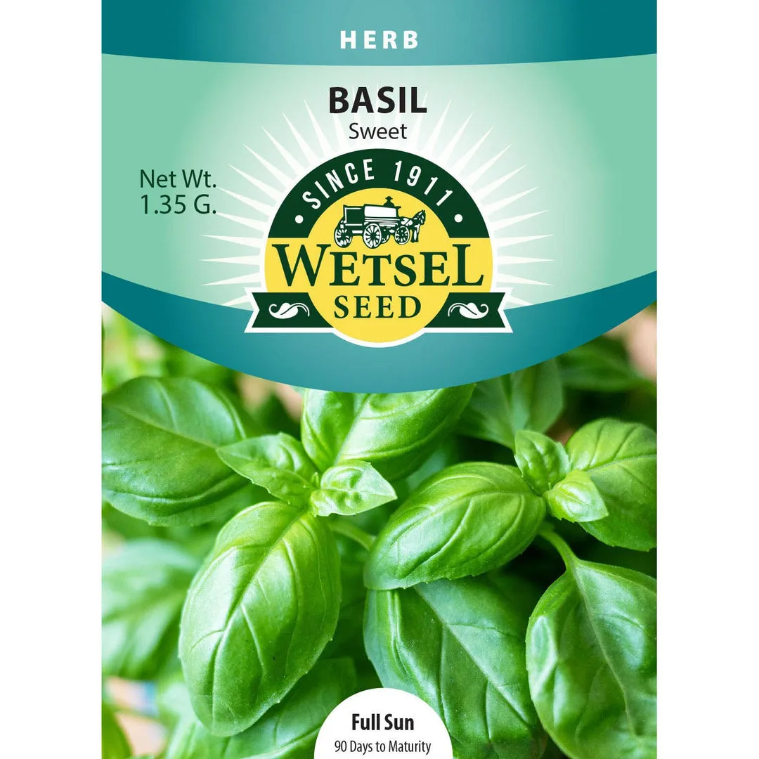 Basil, Sweet 1.35 Grams - Image 2
