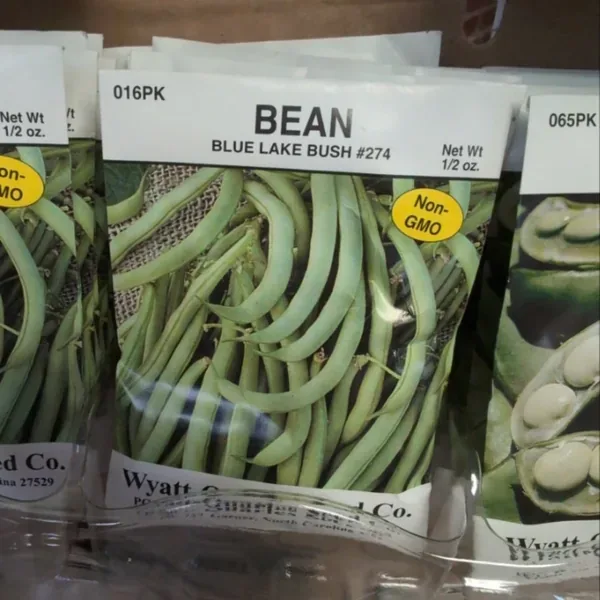 Beans, Blue Lake 274 Bush 1/2lb - Image 2