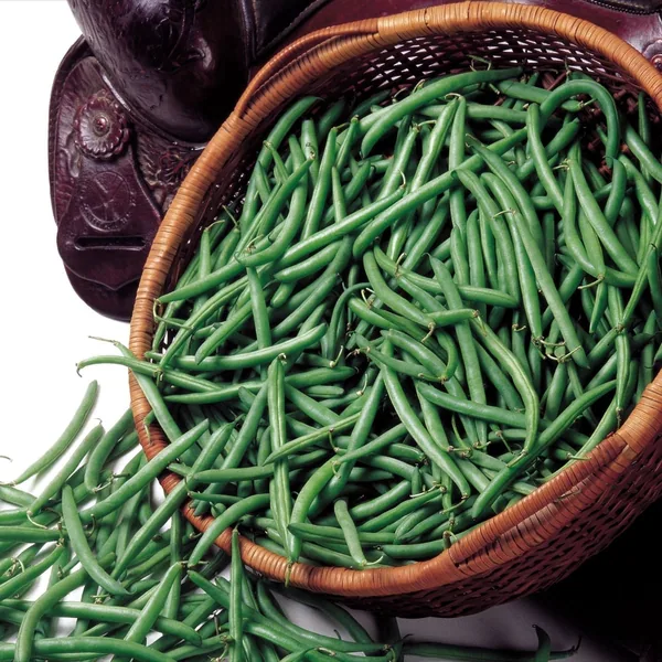 Beans, Bronco Bush 80M