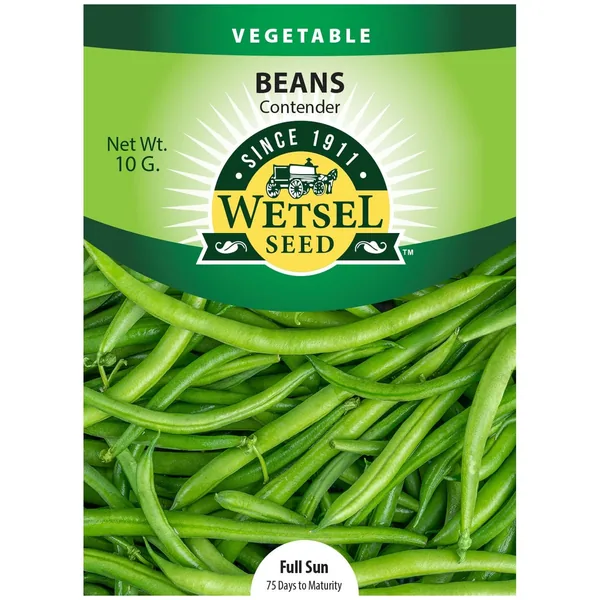 Beans, Contender 10 Grams