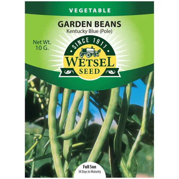 Beans, Kentucky Blue Pole 10 Grams
