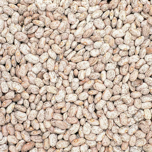 Beans, Pinto 50lb
