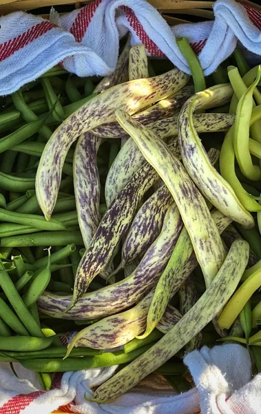 Beans, Rattlesnake Pole 1/2lb