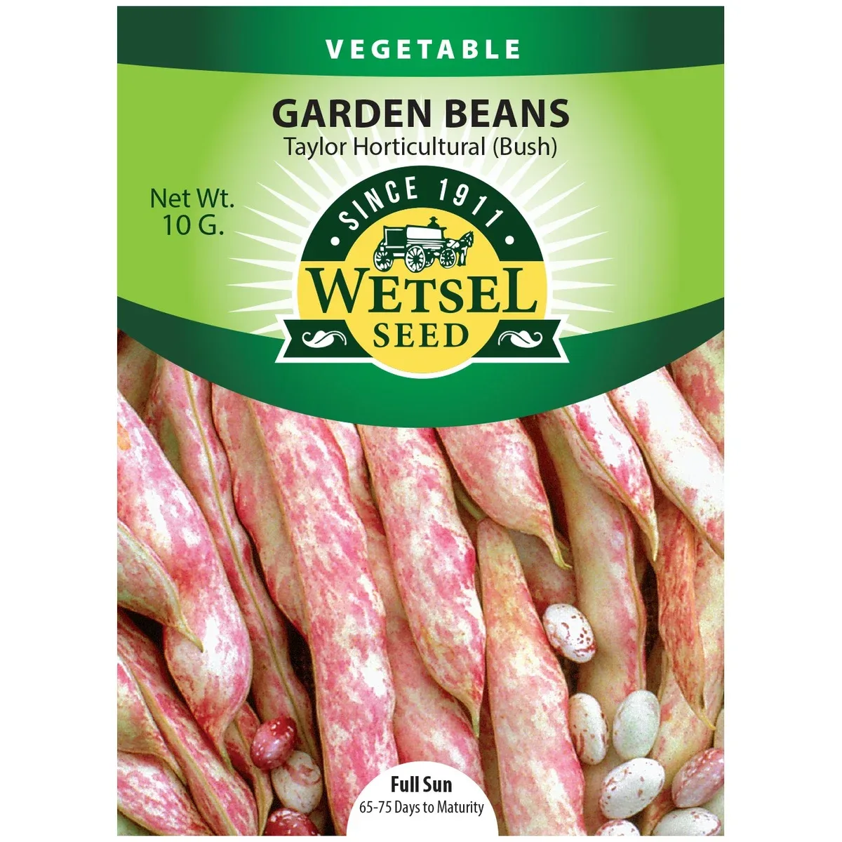 Beans, Taylor Horticulture Bush 1/2lb - Image 2