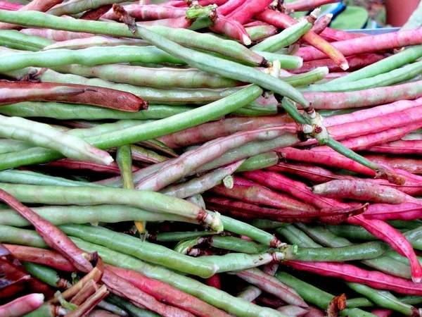 Beans, Taylor Horticulture Bush 1/2lb