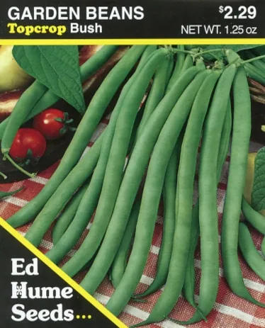 Beans, Topcrop Bush