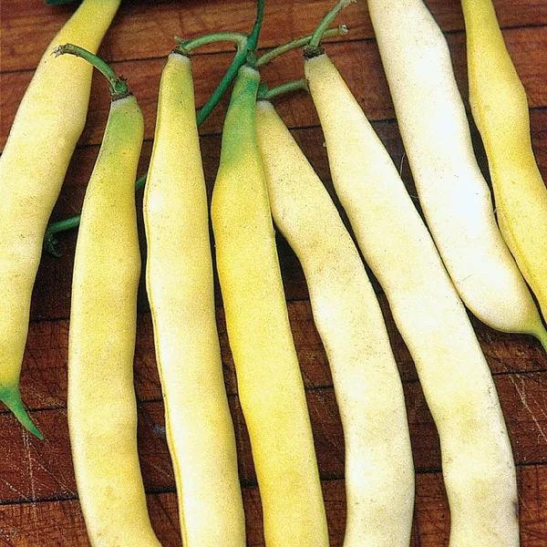 Beans, Topnotch Golden Wax