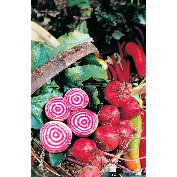 Beets, Chiogga 1/2oz
