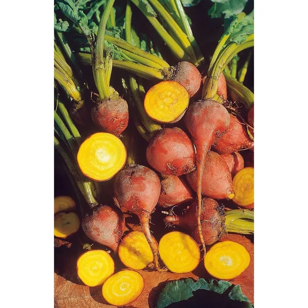 Beets, Golden Detroit 1/2oz