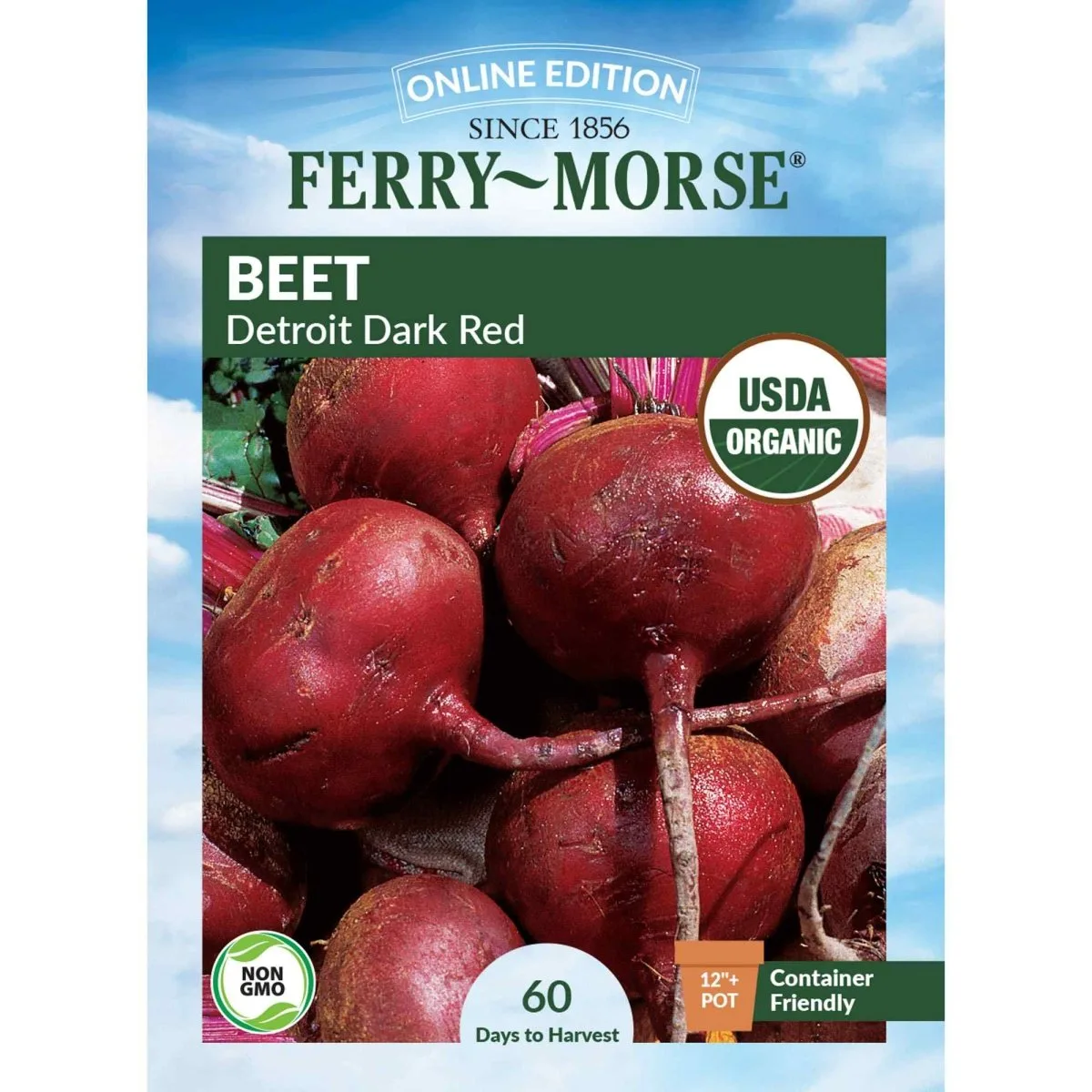 Beets, Organic Detroit Dark Red 3 Grams - Image 2