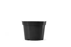 Belden Plastics BLD 06.00 AZ BLK 692107 — Case of 300