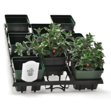 Belden Plastics BLD WEBFIT 4515 TRAY 694214 — Case of 30