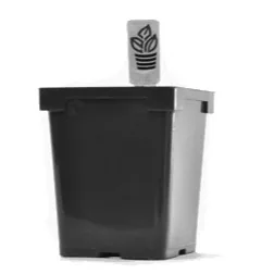 Belden Plastics Jumbo Jr Sq Pot Black