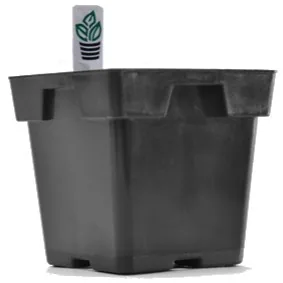 Belden Plastics Jumbo Square Tagspot Black