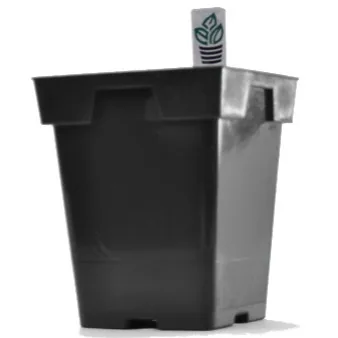 Belden Plastics Jumbo Sr Sq Pot 5.25" X 6.50" 13.33 cm Black