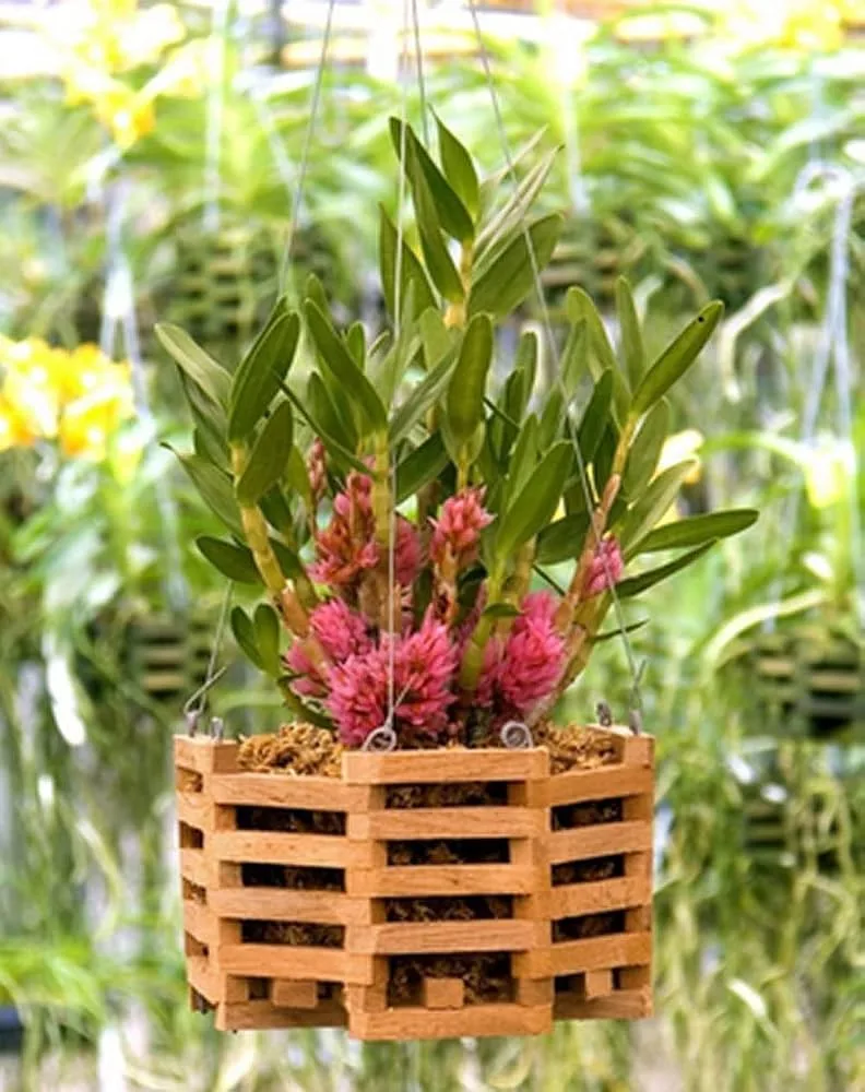 Better Gro 8" Octagon Cedar Basket - Image 2