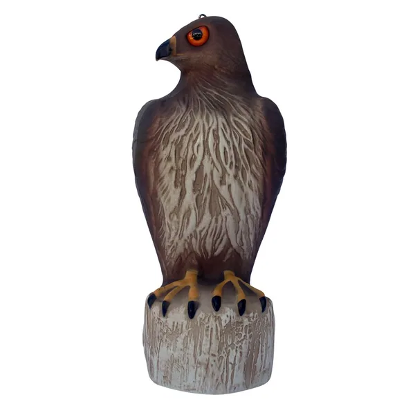 Bird B Gone Hawk