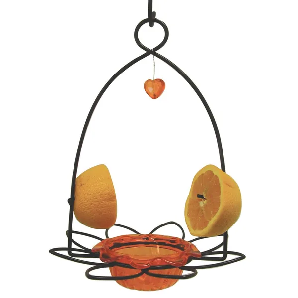 Birds Choice 3oz Oriole Flower Feeder for Jelly & Fruit