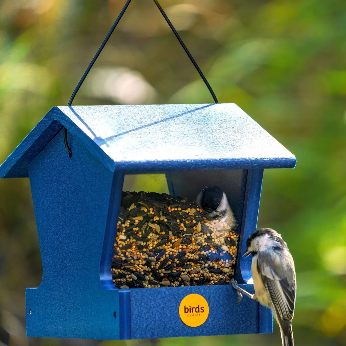 Birds Choice Hopper Bird Feeder Recycled Plastic Lake Blue 3.5 lbs Capacity - Image 2
