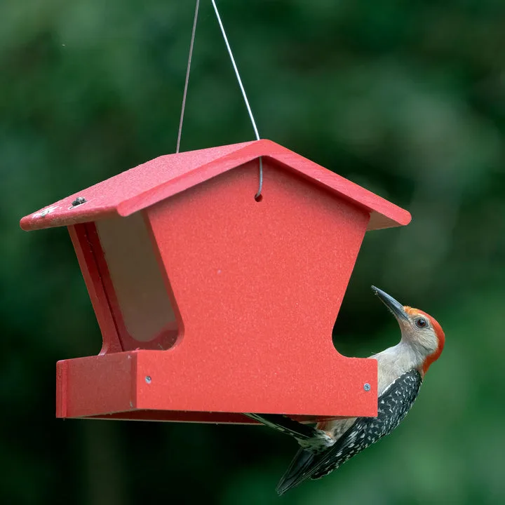 Birds Choice Hopper Feeder Recycled Plastic Red 1.5 lbs Capacity - Image 2