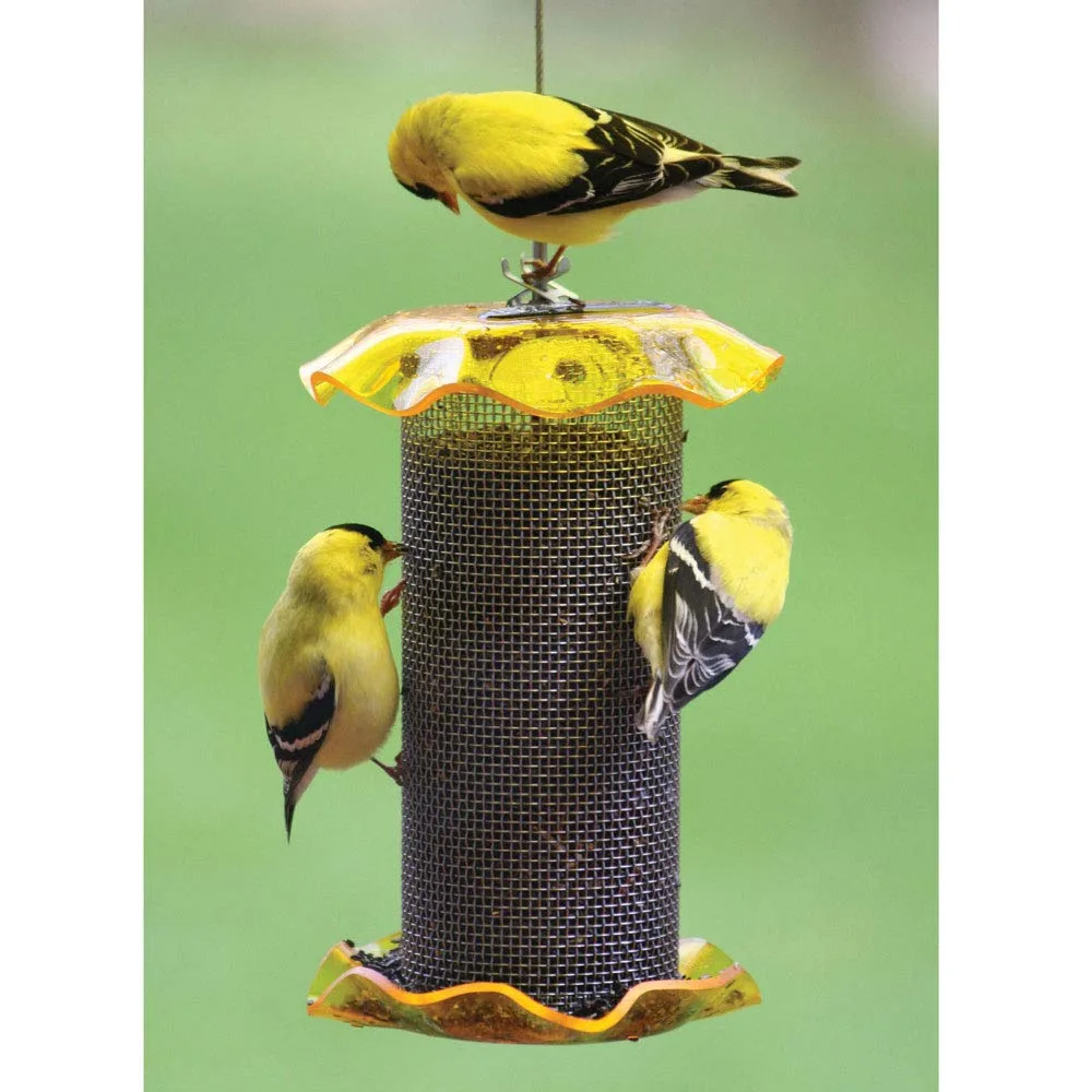 Birds Choice Small Nyjer Seed Finch Forever Feeder Yellow 1 lb Capacity - Image 2