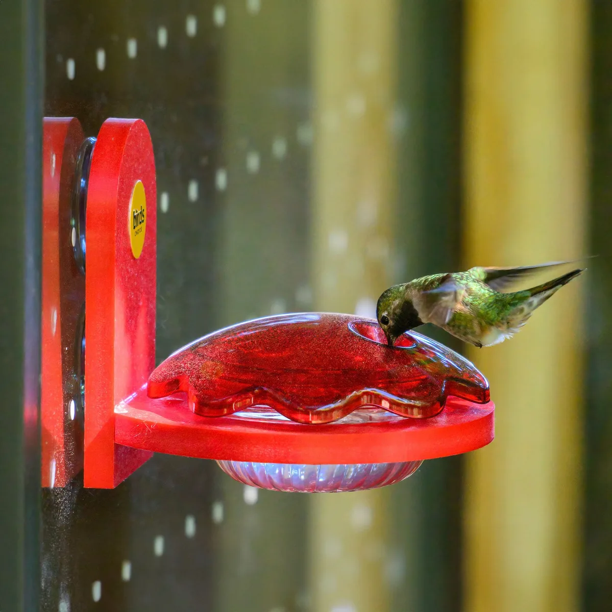 Birds Choice Window Mount Hummingbird Feeder Recycled Plastic Red - Image 2