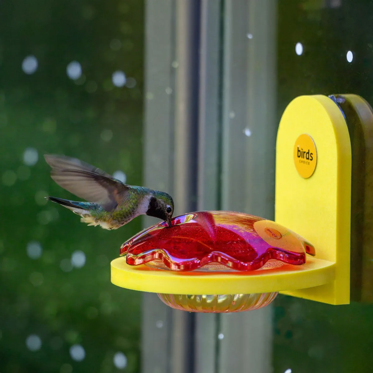 Birds Choice Window Mount Hummingbird Feeder Recycled Plastic Yellow - Image 2