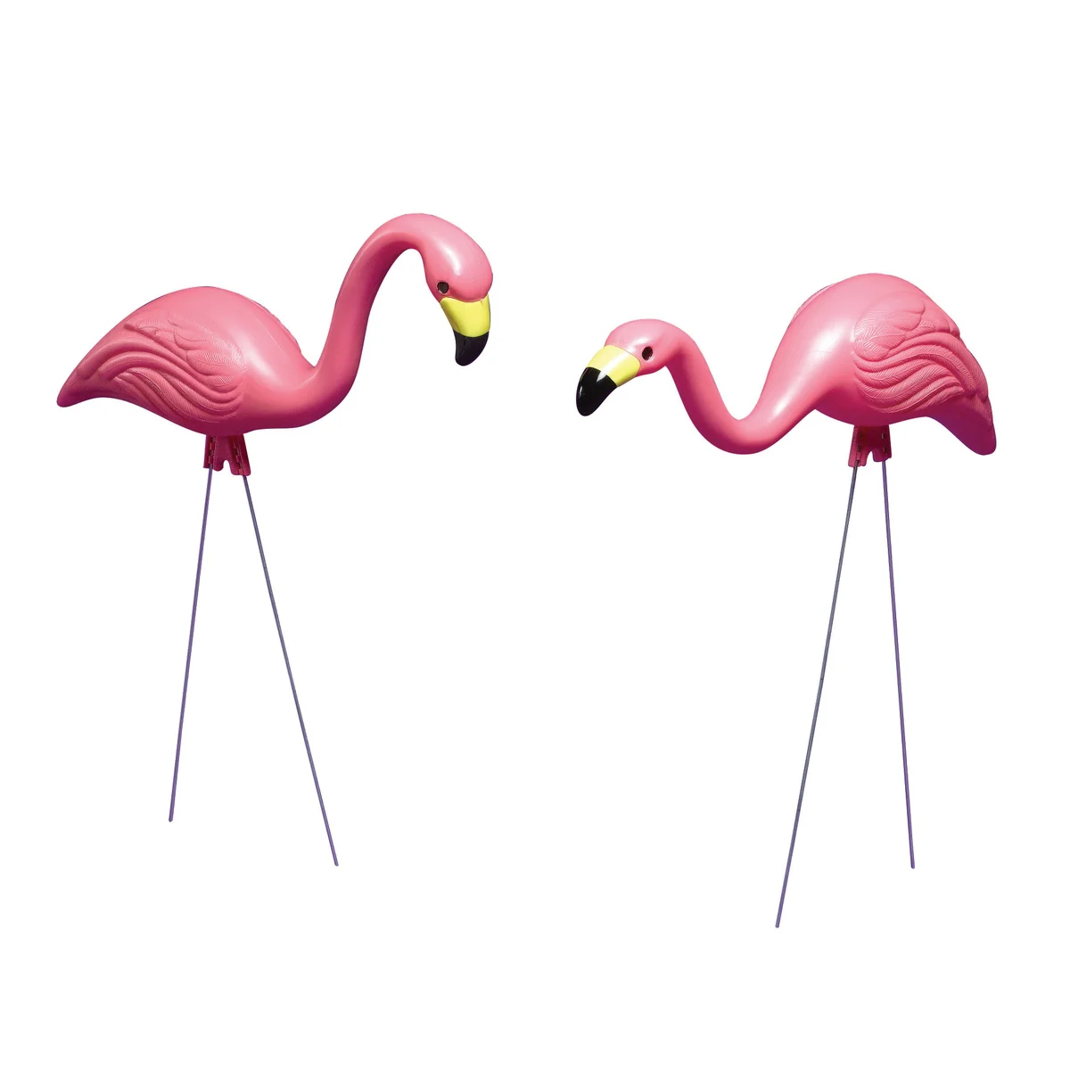 Bloem Classic Flamingo