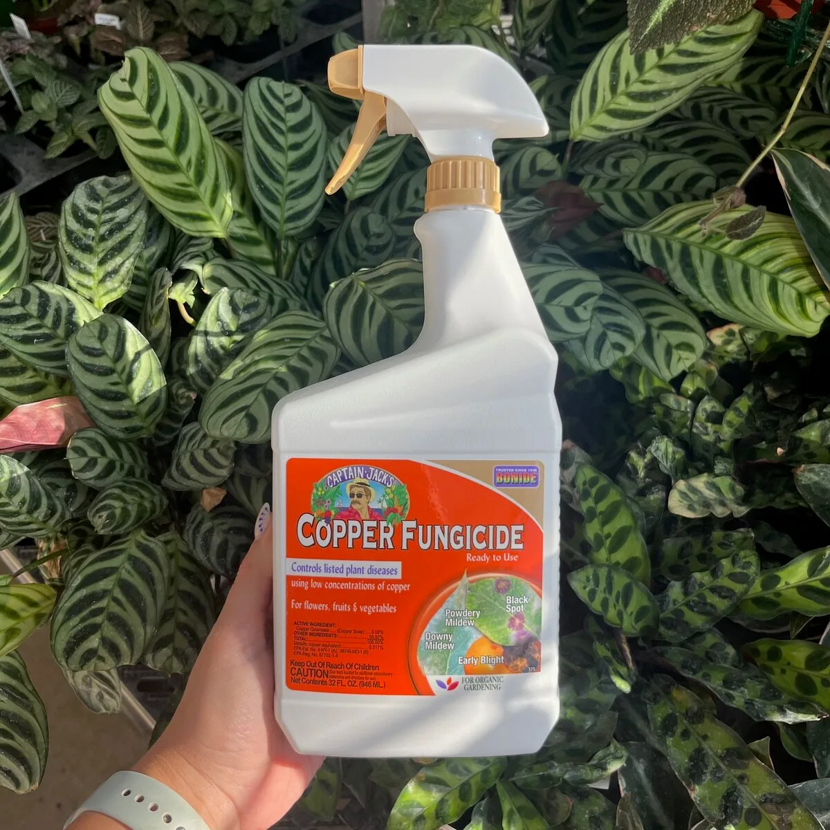 Bonide 32oz Copper Fungicide RTS - Image 2