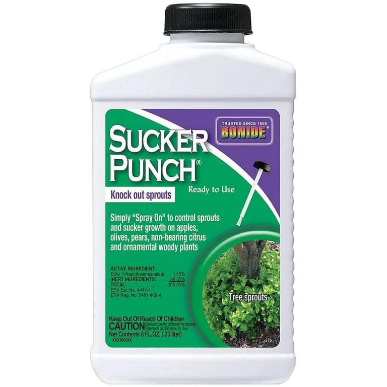 Bonide 8oz Sucker Punch RTU Brush Top - Image 2