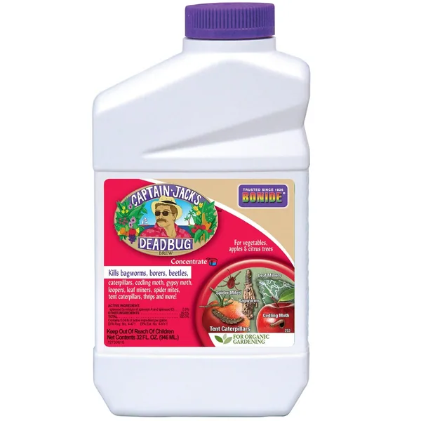 Bonide Dead Bug Brew Conc CAPTAIN JACKS