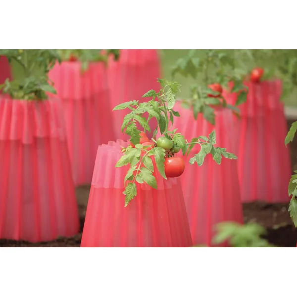 Bosmere Kozy Coats Water Filled Teepee Plant Protector 2PK