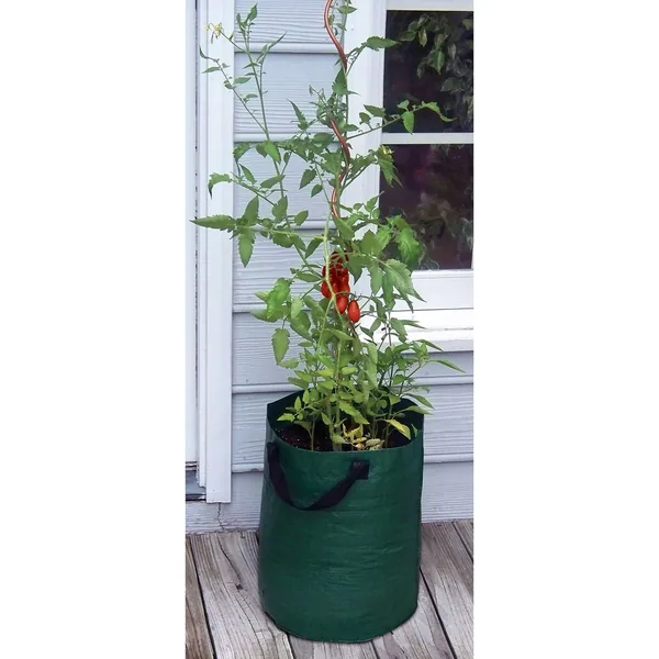 Bosmere Tomato Planter Bag Pack of 3