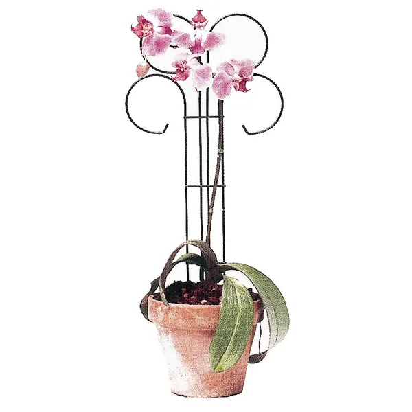 Bosmere Wren Tall x Wide Scroll Pot Trellis
