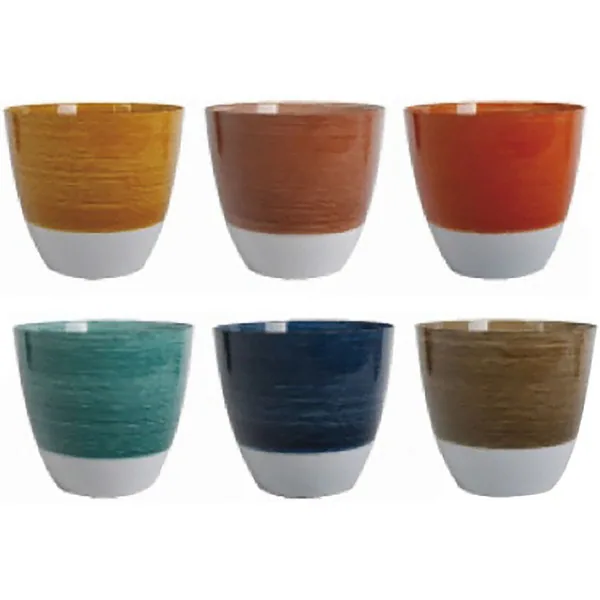 Braun 12" Rainbow Bright