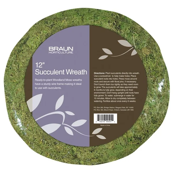 Braun 12" Retail Ready Succulent Wreath