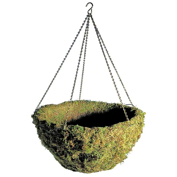 Braun 20" Woodland Moss Hanging Basket w/ Green Chain Hanger