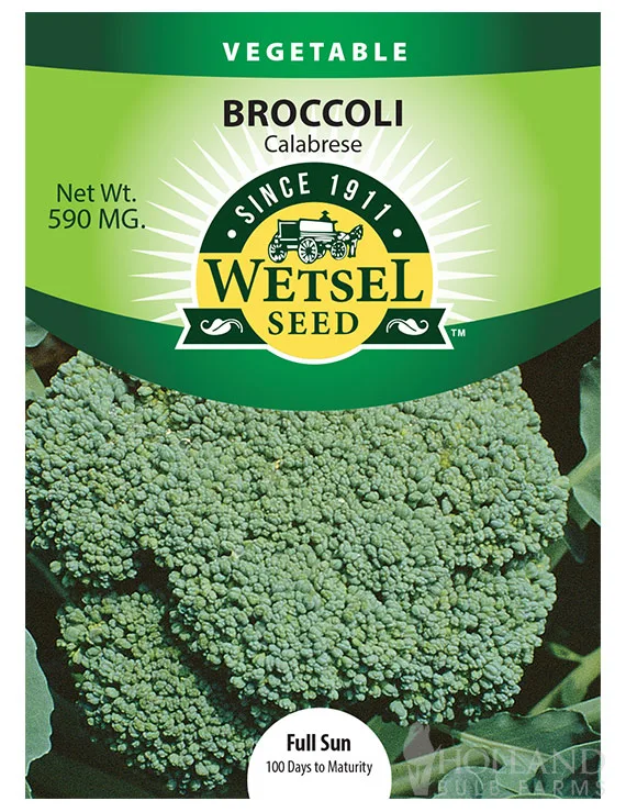 Broccoli, Calabrese 590mg - Image 2