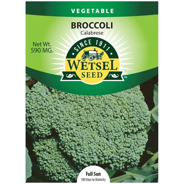 Broccoli, Calabrese 590mg