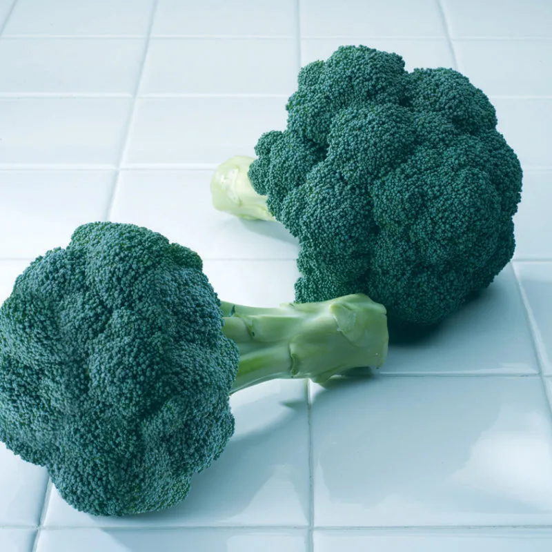 Broccoli, Diplomat Treated 1000 Seed Count - Image 2