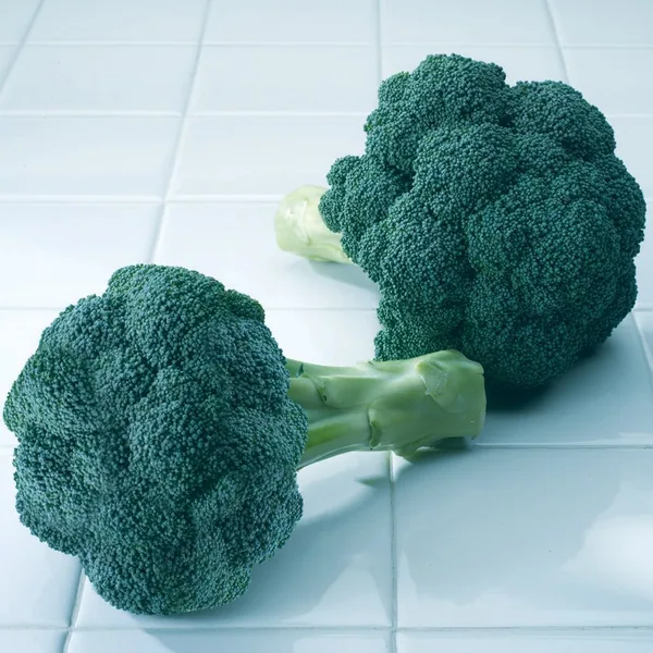 Broccoli, Diplomat Treated 500 Seed Count