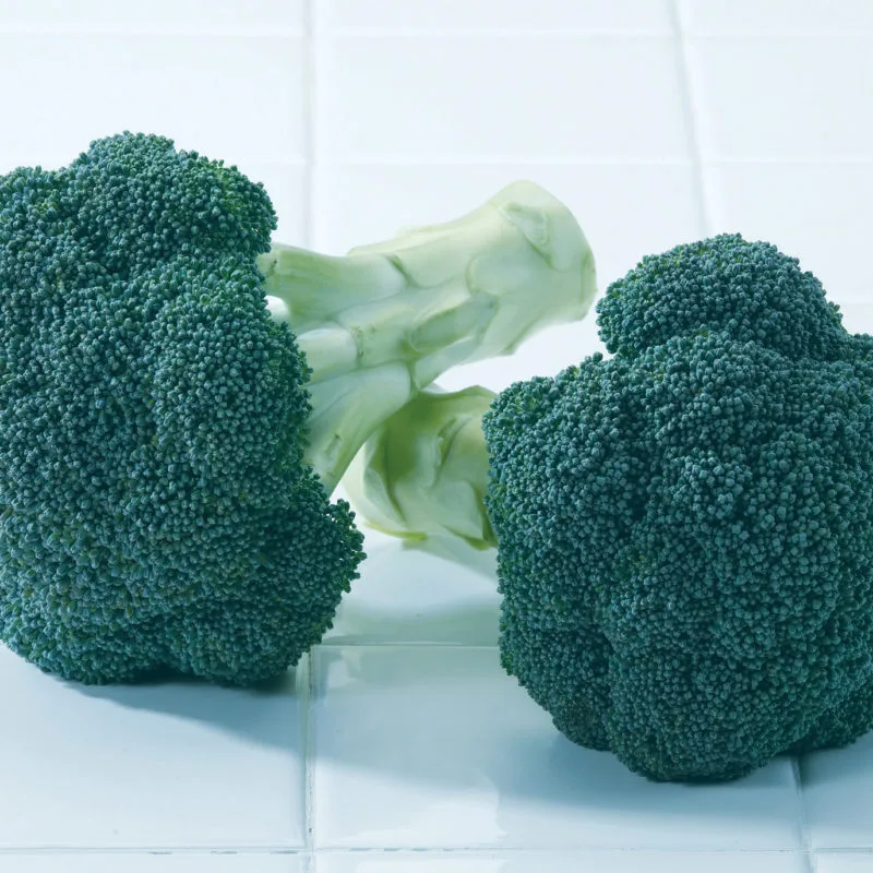 Broccoli, Green Magic 1000 Seed Count - Image 2