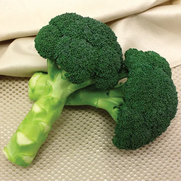 Broccoli, Green Magic - 100M Seeds (Performax Treated)