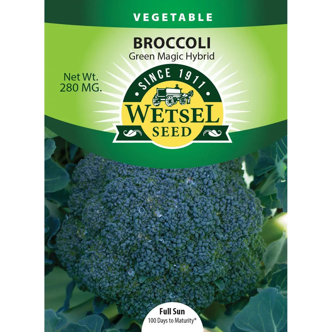 Broccoli, Green Magic 280mg - Image 2